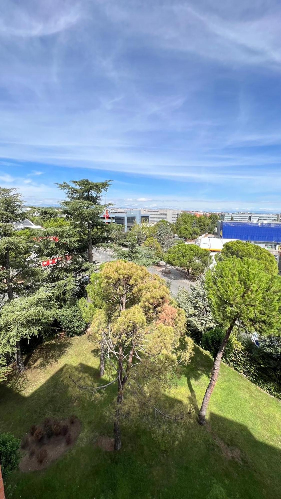 House Samaniego 12 Daire Madrid Dış mekan fotoğraf